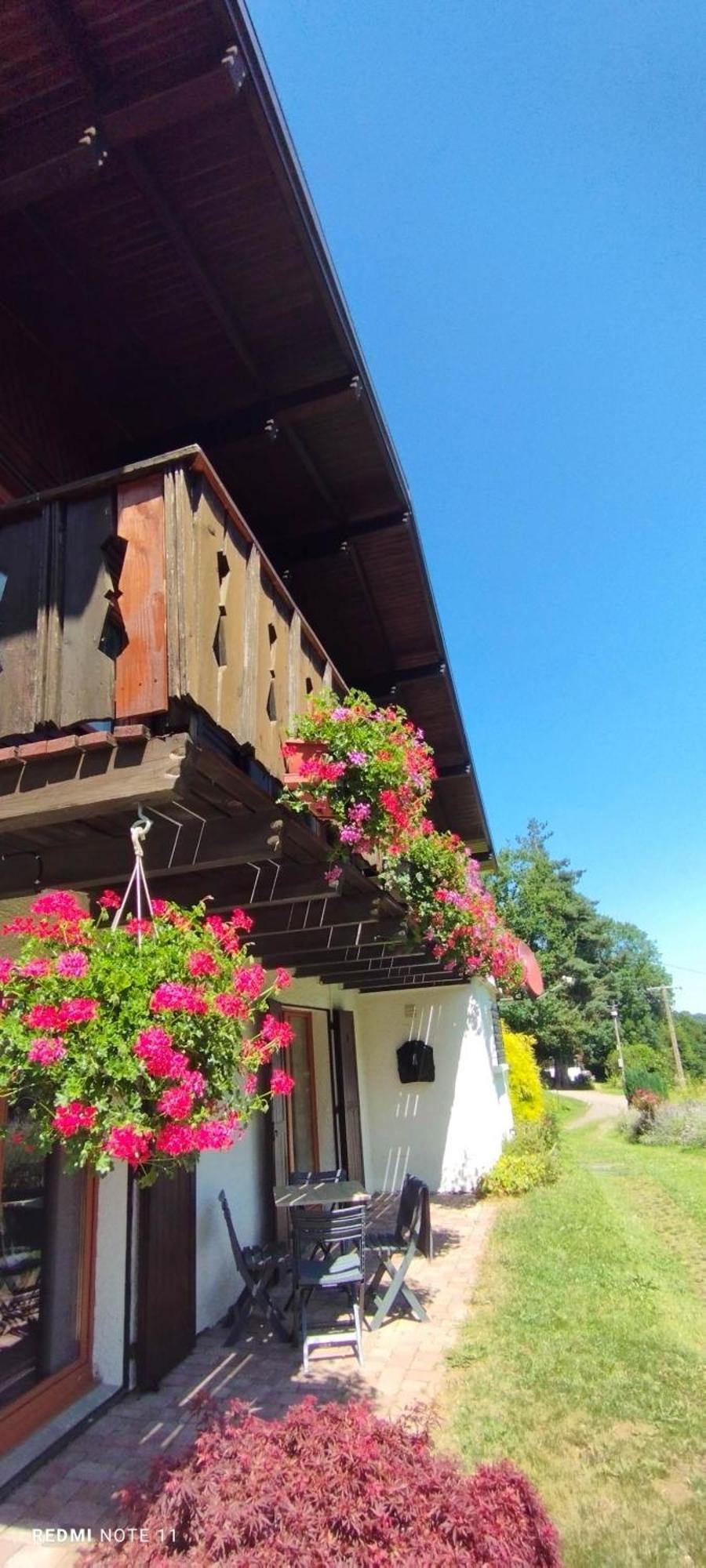 Chalet Au Bois Des Ecureuils Classe Trois Etoiles. Muhlbach-sur-Munster Eksteriør billede