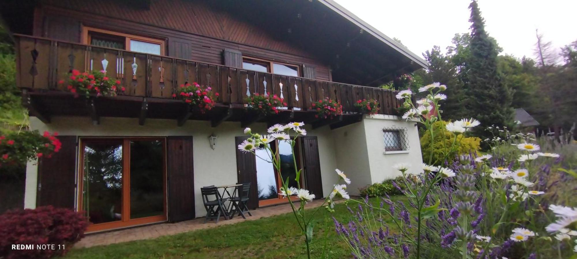 Chalet Au Bois Des Ecureuils Classe Trois Etoiles. Muhlbach-sur-Munster Eksteriør billede