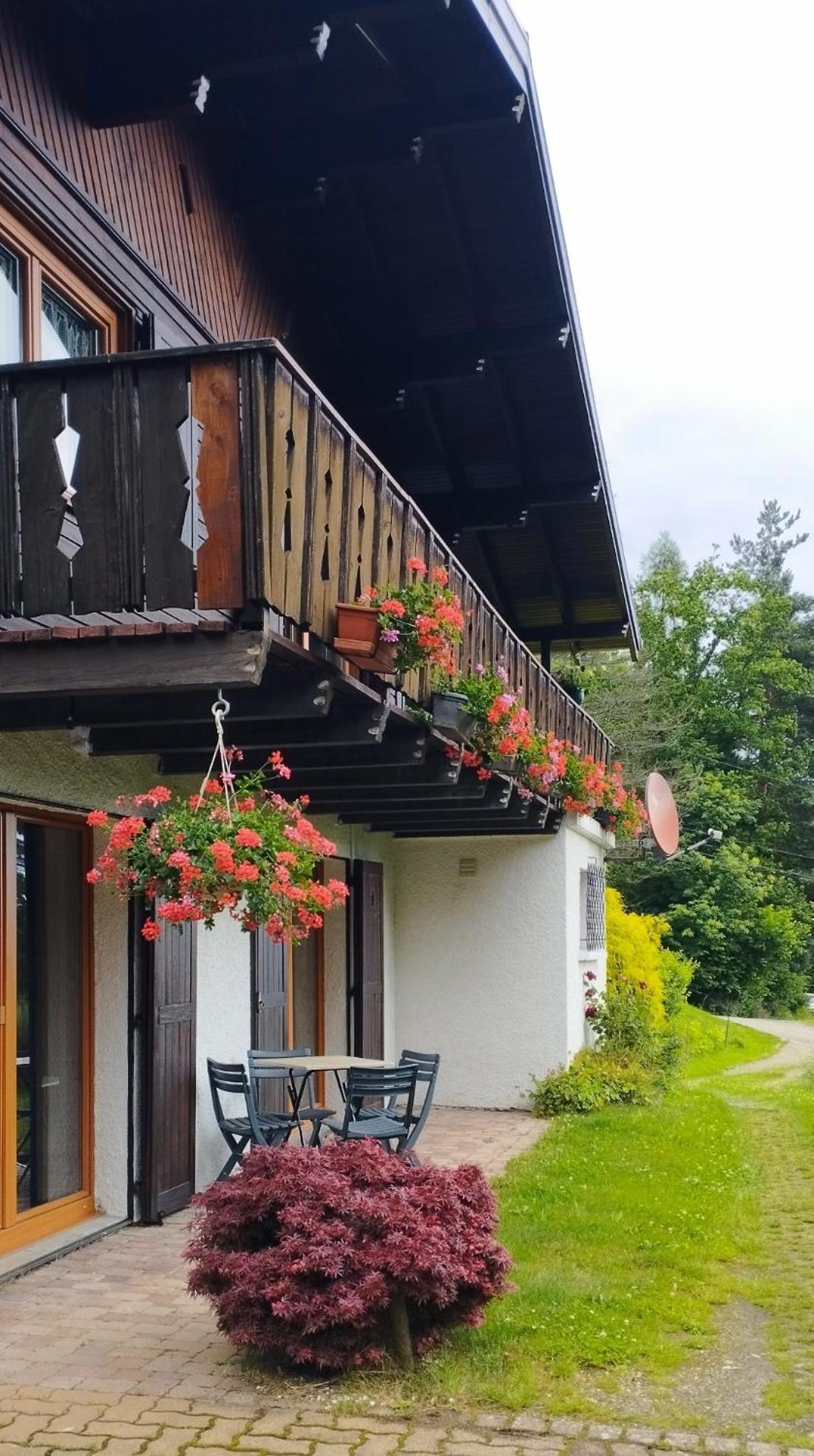 Chalet Au Bois Des Ecureuils Classe Trois Etoiles. Muhlbach-sur-Munster Eksteriør billede