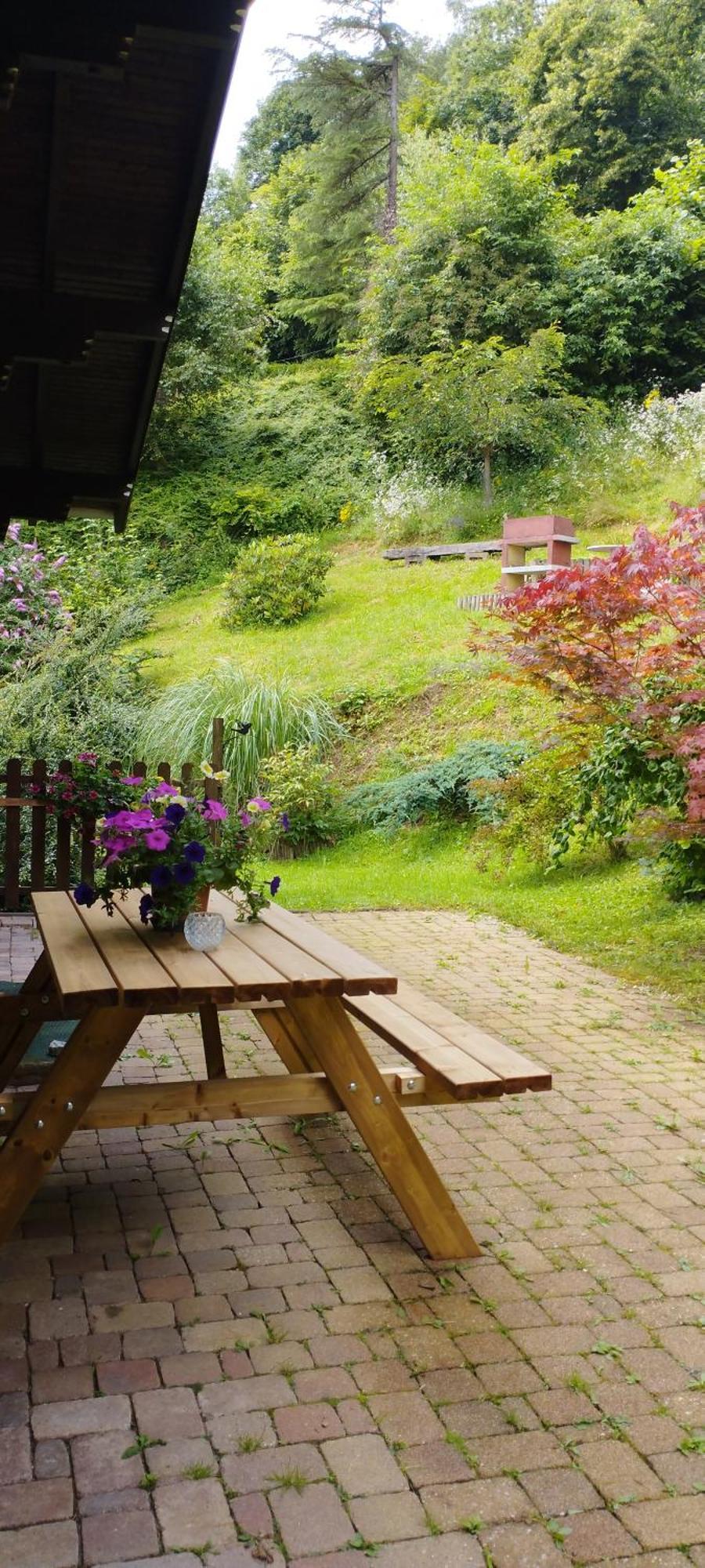 Chalet Au Bois Des Ecureuils Classe Trois Etoiles. Muhlbach-sur-Munster Eksteriør billede