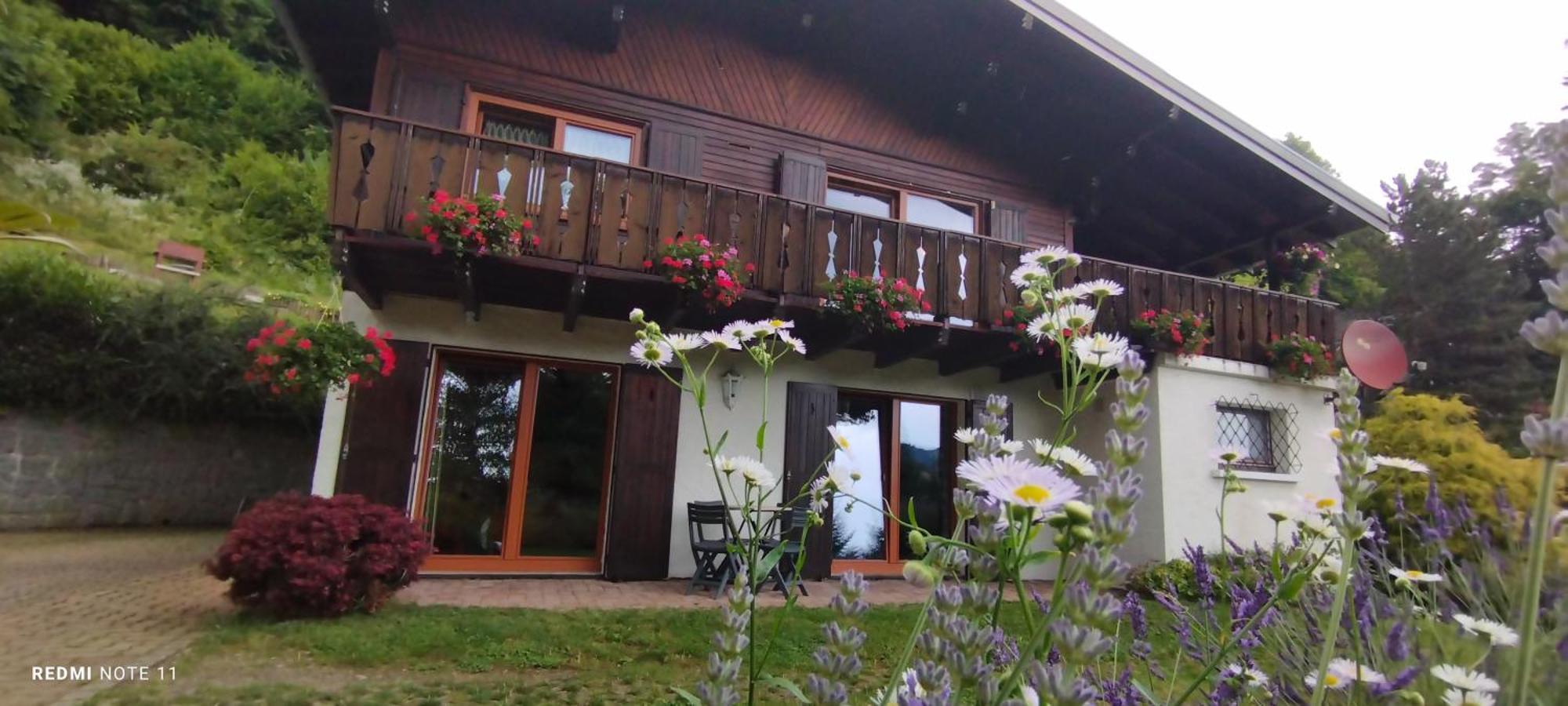 Chalet Au Bois Des Ecureuils Classe Trois Etoiles. Muhlbach-sur-Munster Eksteriør billede