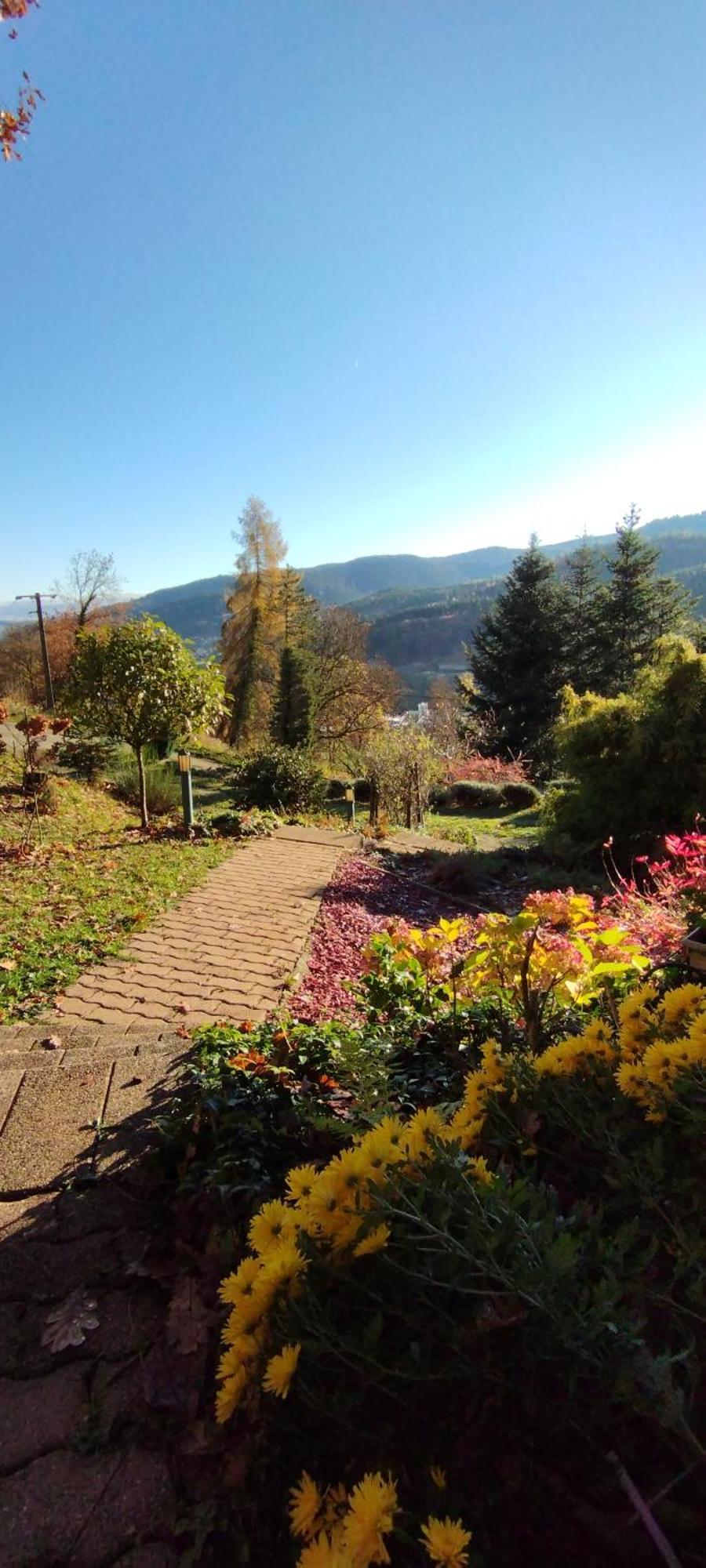 Chalet Au Bois Des Ecureuils Classe Trois Etoiles. Muhlbach-sur-Munster Eksteriør billede